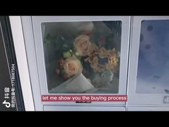 Et Peynirli Dondurma Dolabı Boyutu İçin 22 İnç Dondurulmuş Otomat Makinesi Özelleştirilmiş