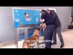 self-servis köpek yıkama bakım istasyonu