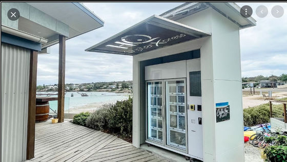 Kart Okuyucu Ödemeli Dondurulmuş Dolaplı Otomat Dondurulmuş Et İstiridye Deniz Ürünleri Otomatı