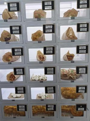 40 Dolap Kapasitesi Sağlıklı Tasarım ve Android 11 işletim sistemi ile Dolap Satıcı Makinesi