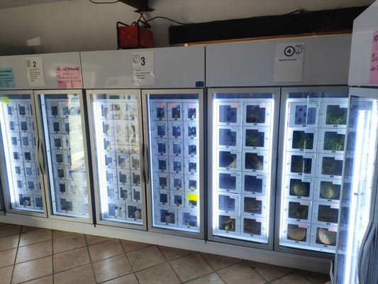 Android 11 Küçük Ölçekli Çiftlik Üreticileri için Yumurta dağıtıcı Makine 24/7 Konfor ve Verimlilik