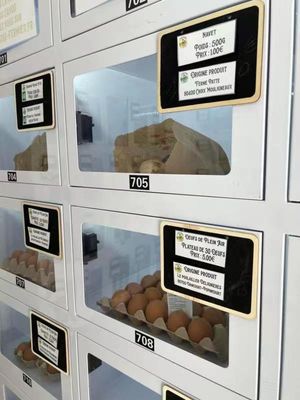 Özelleştirilmiş Grafik Dokunmatik Ekranlı Soyunma Odası Otomatı, 21.5 İnç Ekran ve Kullanışlı Kart Ödeme Sistemi İle